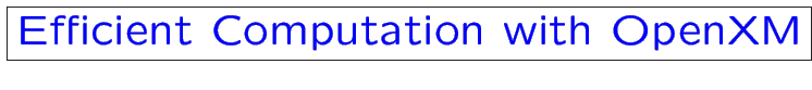 \fbox{\large \color{blue} Efficient Computation with OpenXM}